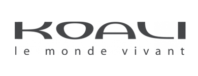 Koali